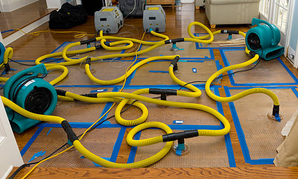 Professional Basement Flood Cleanup technician working in Mora, MN